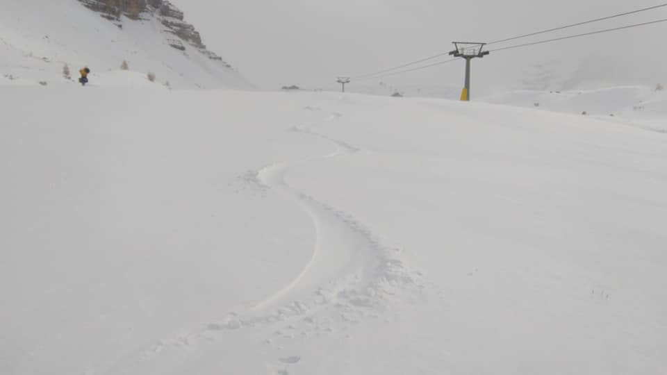 45029991 961480330726432 8274228515486826496 n