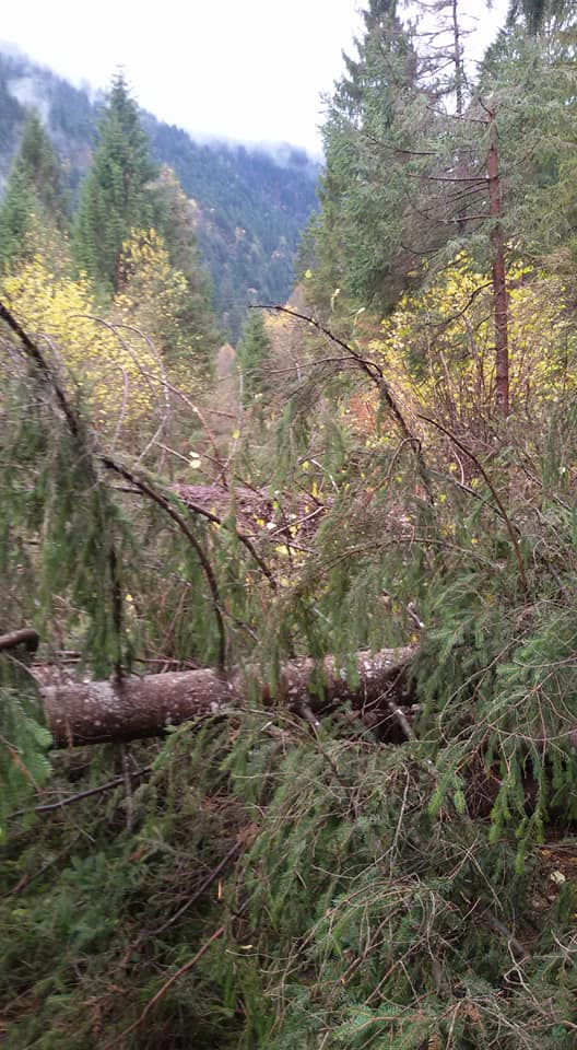 45043774 10218415755934000 4513725218929246208 n