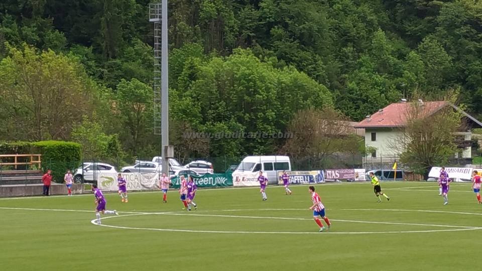 18425329 730901860417983 1098930595980050748 n