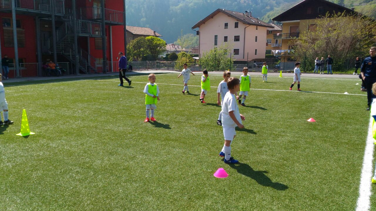 WhatsApp Image 2017-04-22 at 14.53.28 1