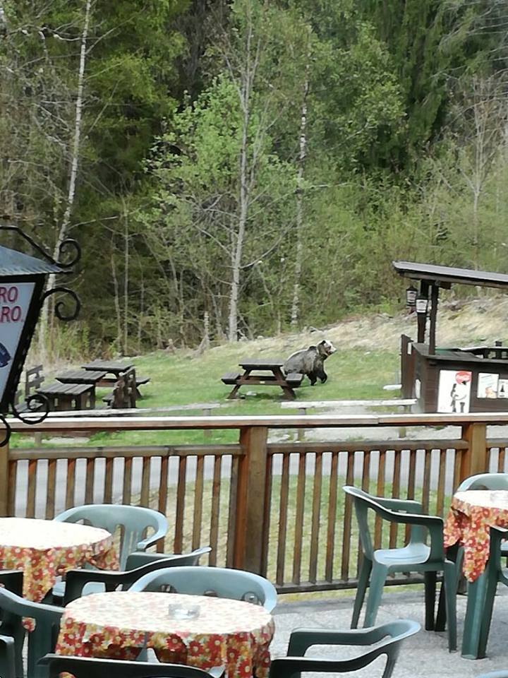 18009416 1732112456809036 2039583523 n