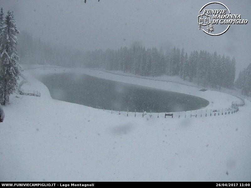 webcamcampiglio01-800