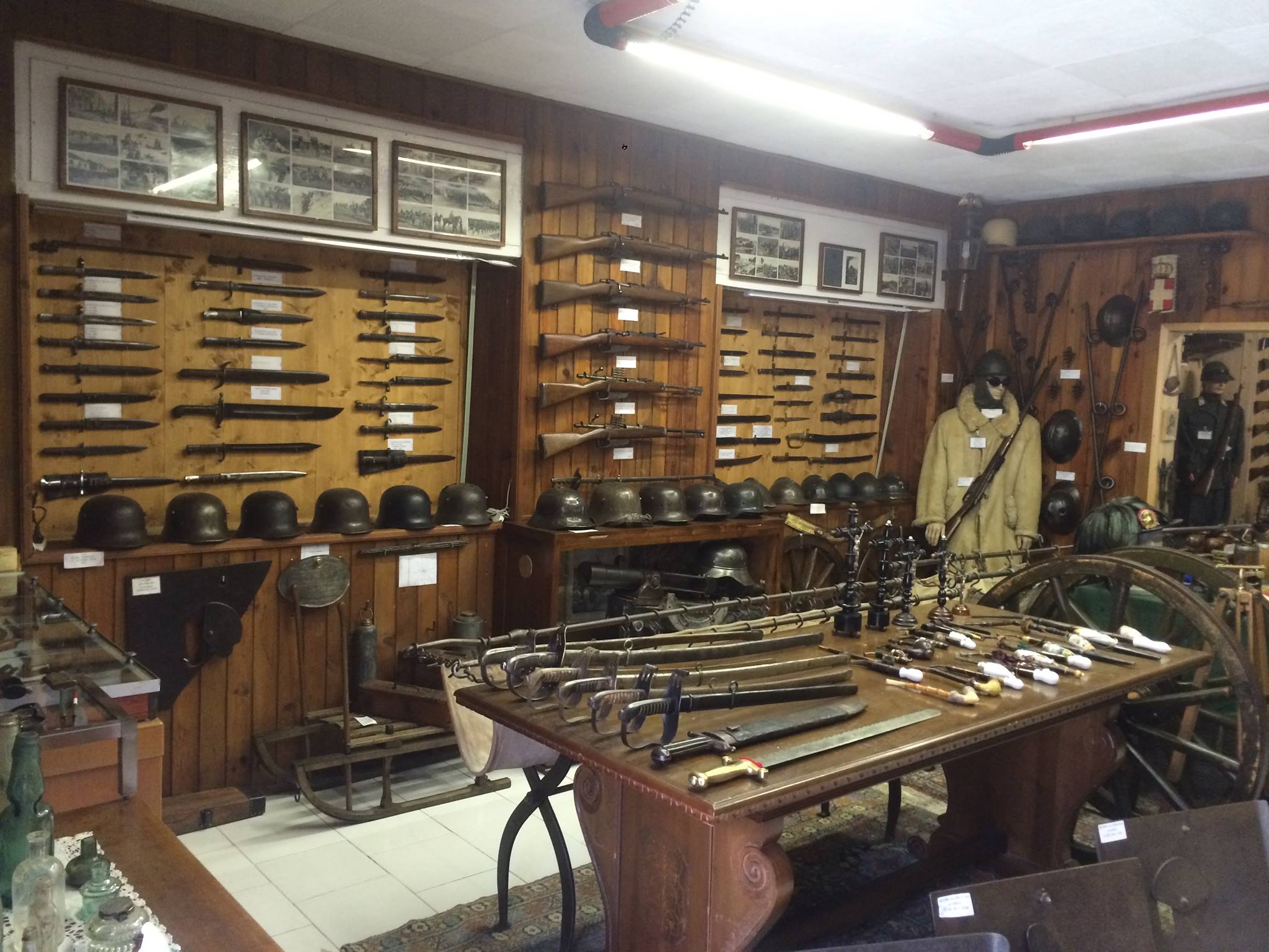 17500353 1324134310958836 1227475426 o