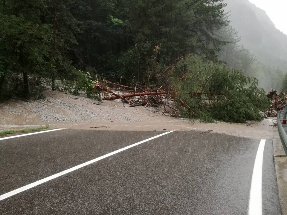 20663810 1592034267510060 1178634279637659203 n