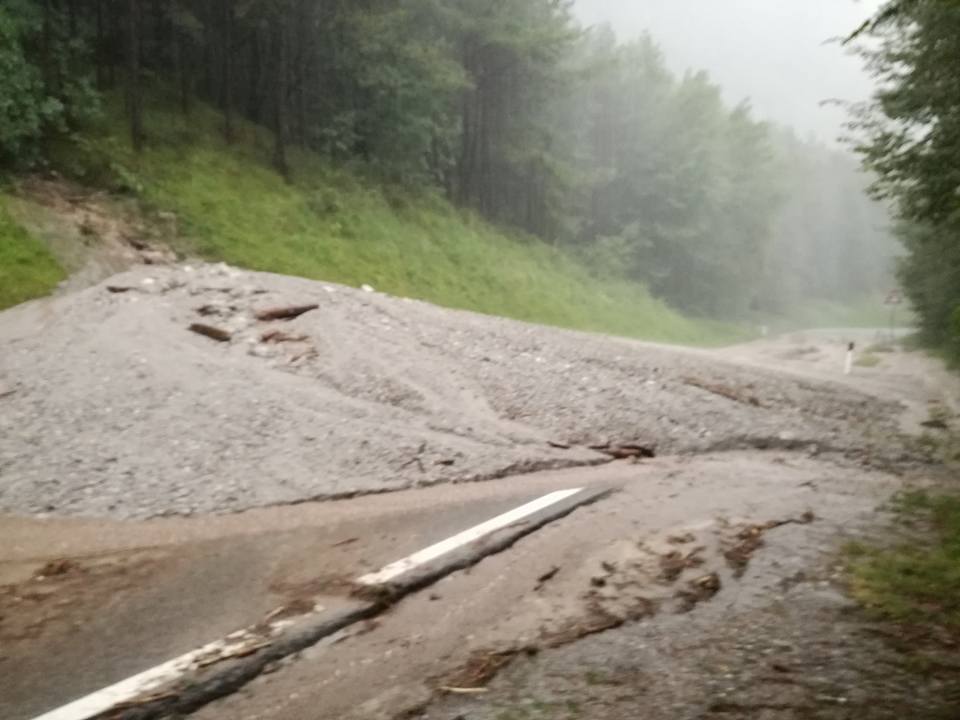 20727859 1592034217510065 4955490464941570108 n