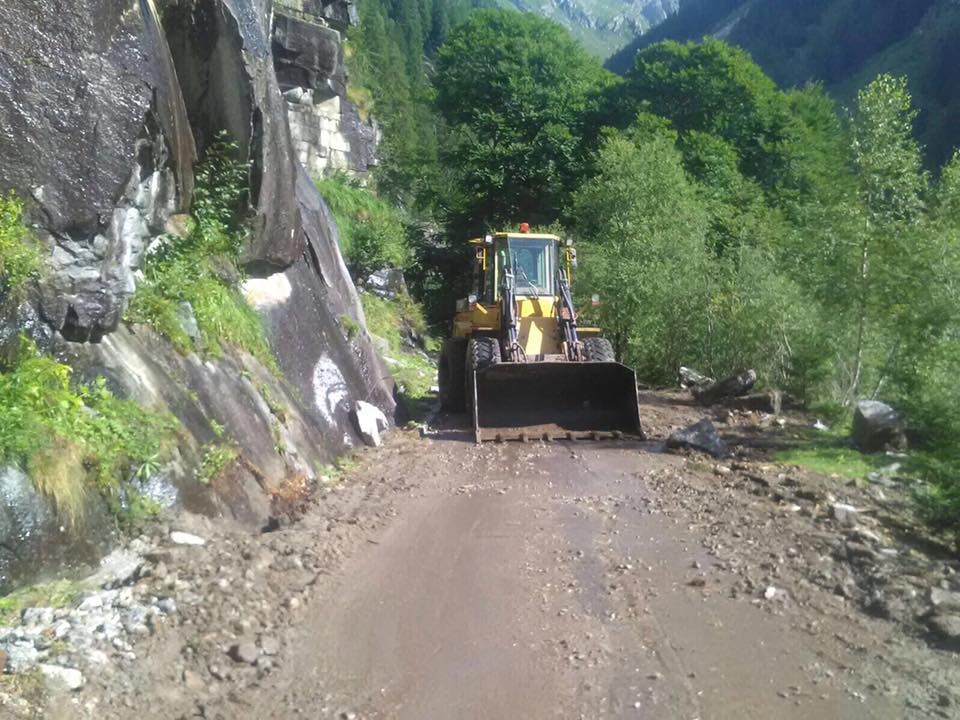 20799987 1782627452035572 5868759502620397212 n