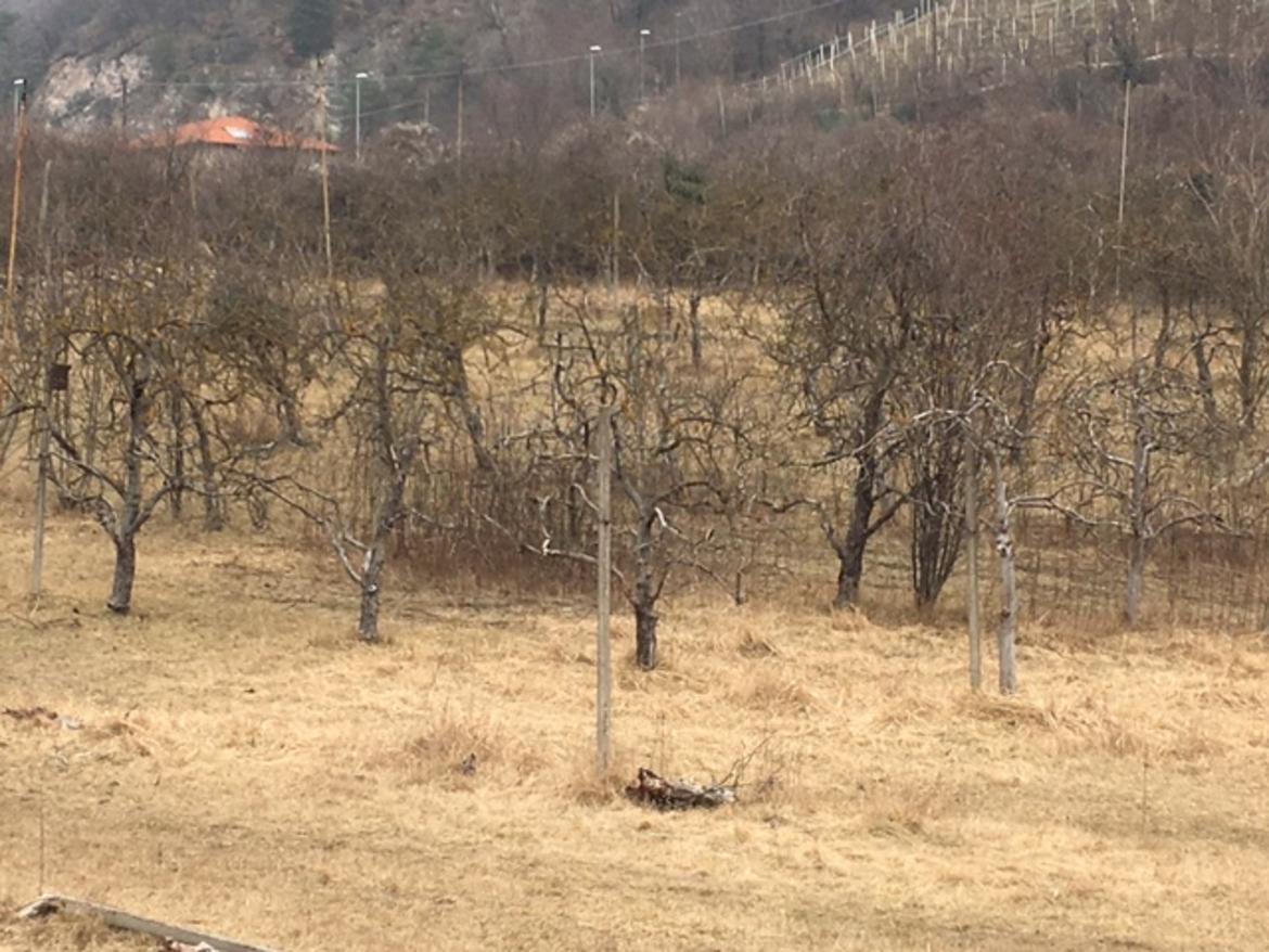 Incolto-1 imagefullwide