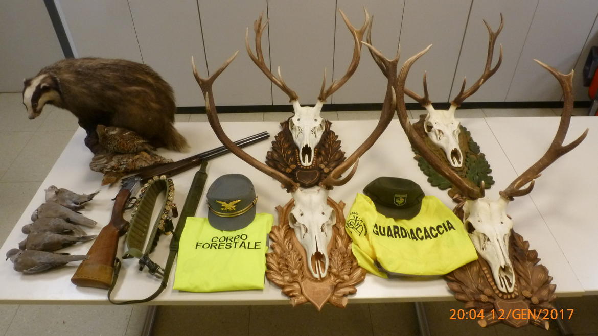 foto-1-3 imagefullwide