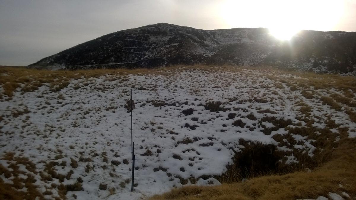 Avalina rilievo temperture - 25