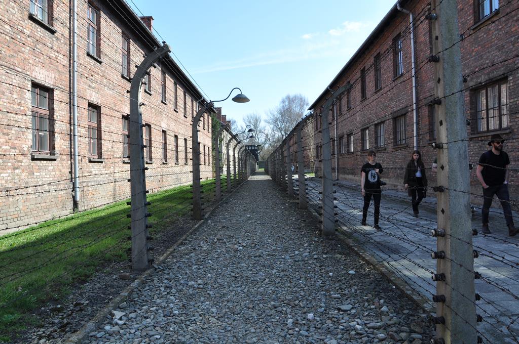  viaggio  treno della Memoria 1