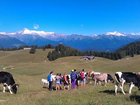 piano giovani val rendena e busa di tione 2014