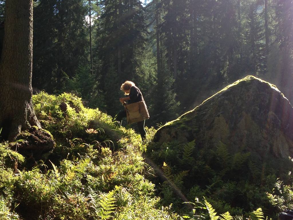 Noris Cunaccia  val Genova Trentino 1