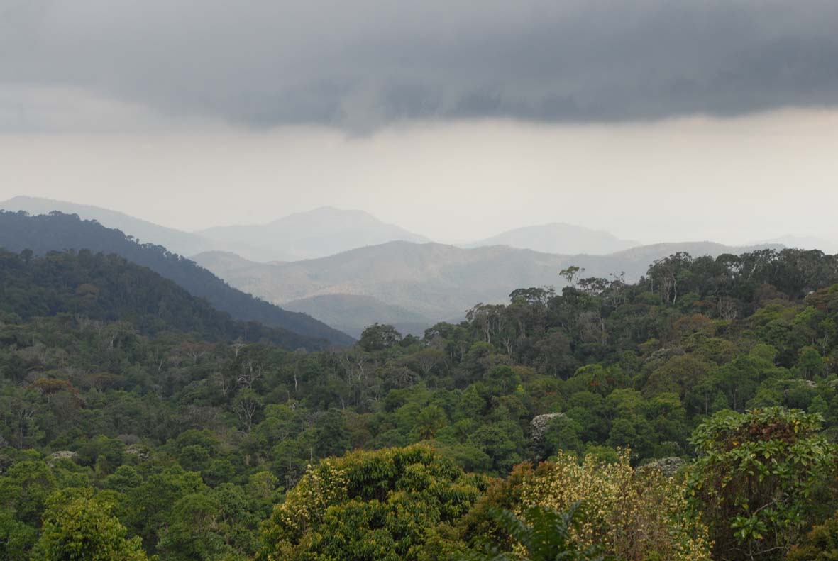 Photo 1 MUSE ph. Francesco Rovero