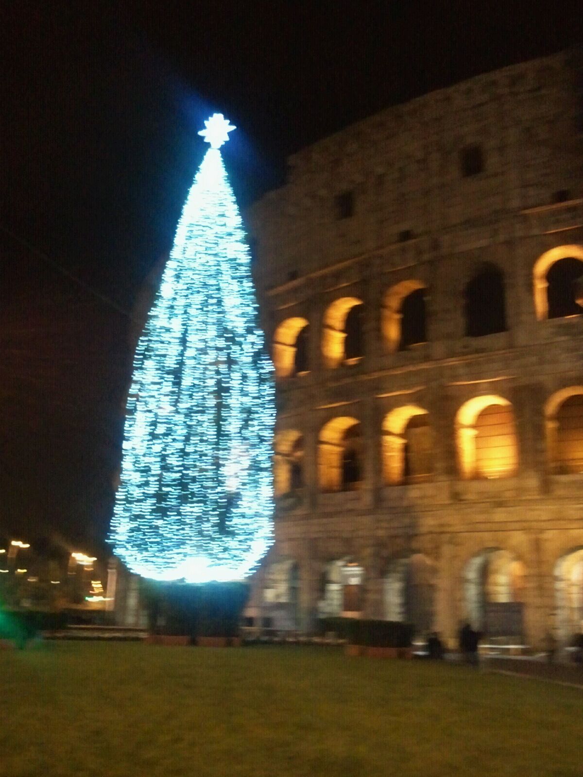 AlberoNatale Colosseo2015 Roma