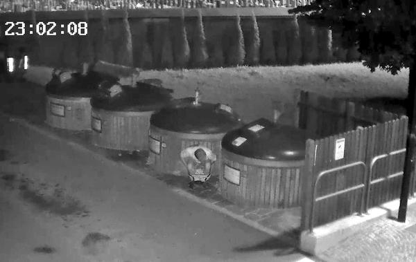 immagini d telecamera