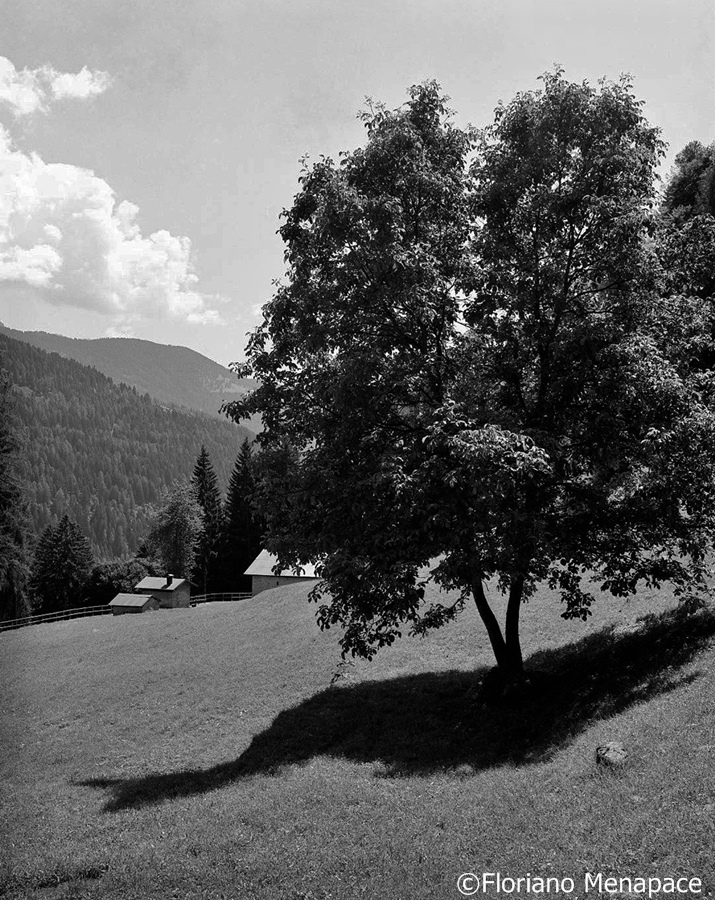 73 Plagna 300 - floriano menapace