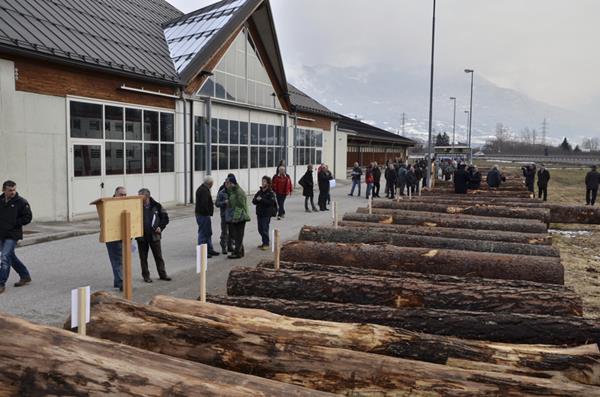 ASTA LEGNAME DI PREGIO EDIZIONE 2013 b