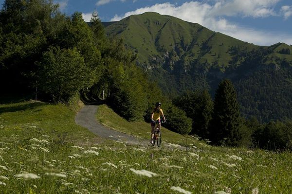 Boniprati - Valle del chiese