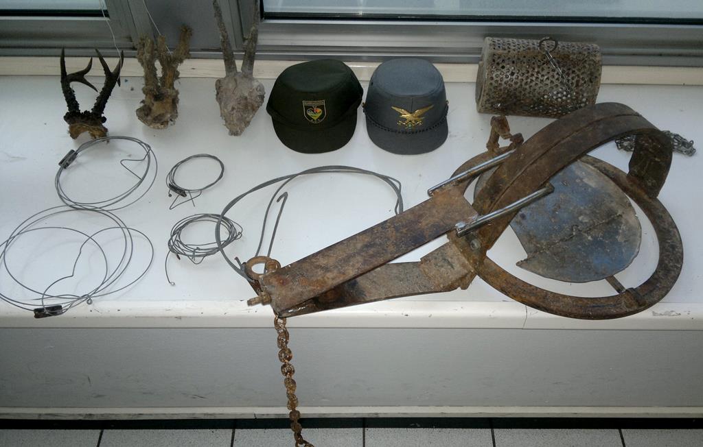 LACCI TAGLIOLA TROFEI 1 sequestrati da forestali e guardiacaccia