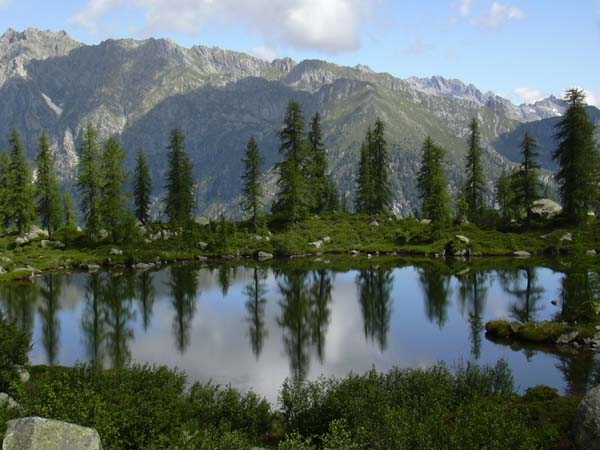 Parco Naturale Adamello Brenta - I valori del Parco