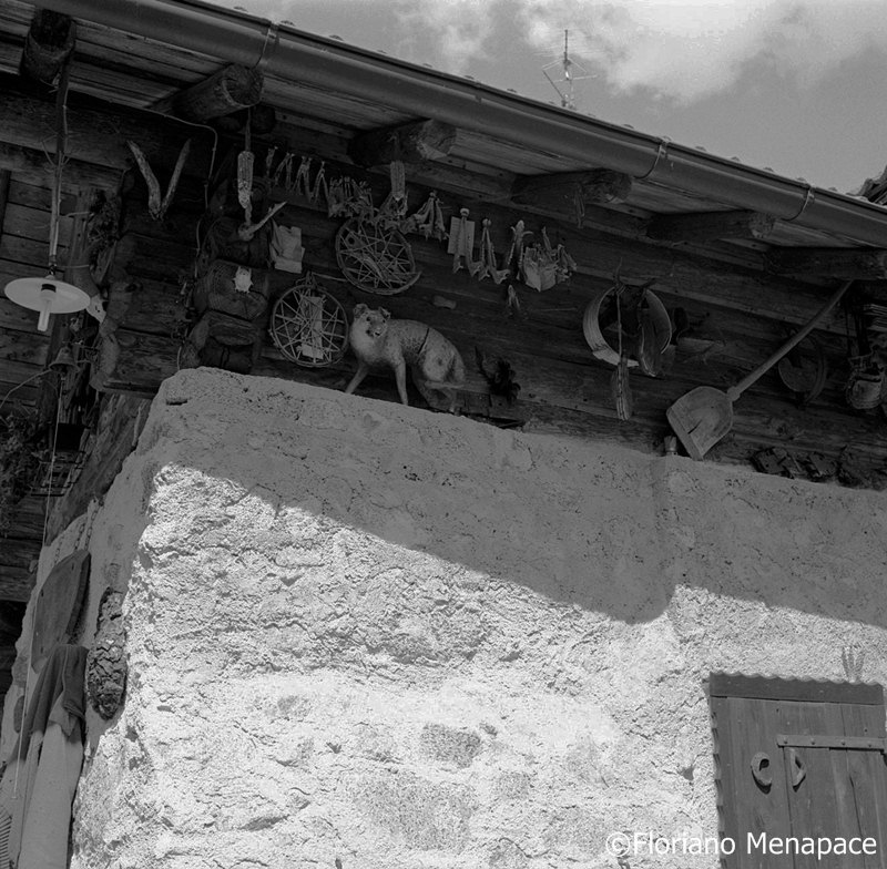 Pimont alt - museo , Floriano Menapace