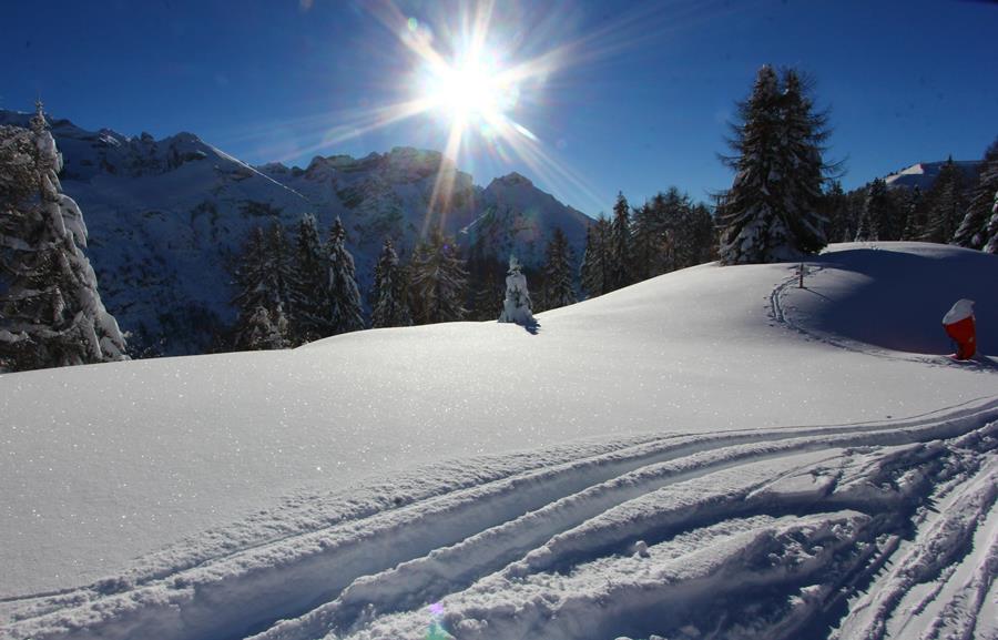 Pinzolo Doss del Sabion dolomiti di Brenta - escursioni