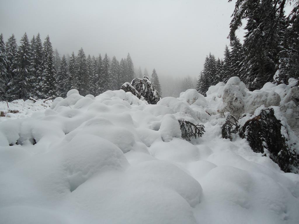 Ragada Val Genova i blocchi della valanga coperti dalla nevicata della scorsa notte