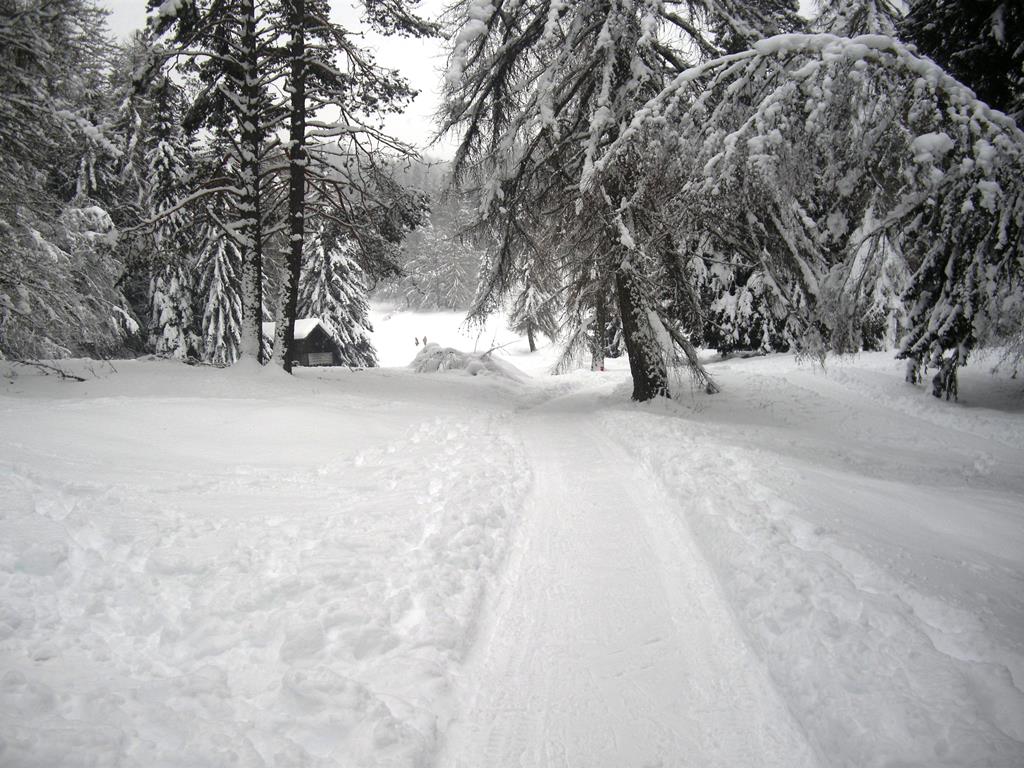 ciaspolada- percorso 2014 Fondo- Val di Non