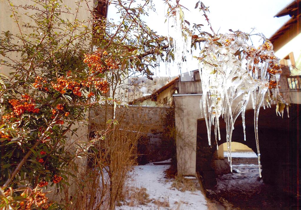 REMI DOLORES BAZZOLI fotografia