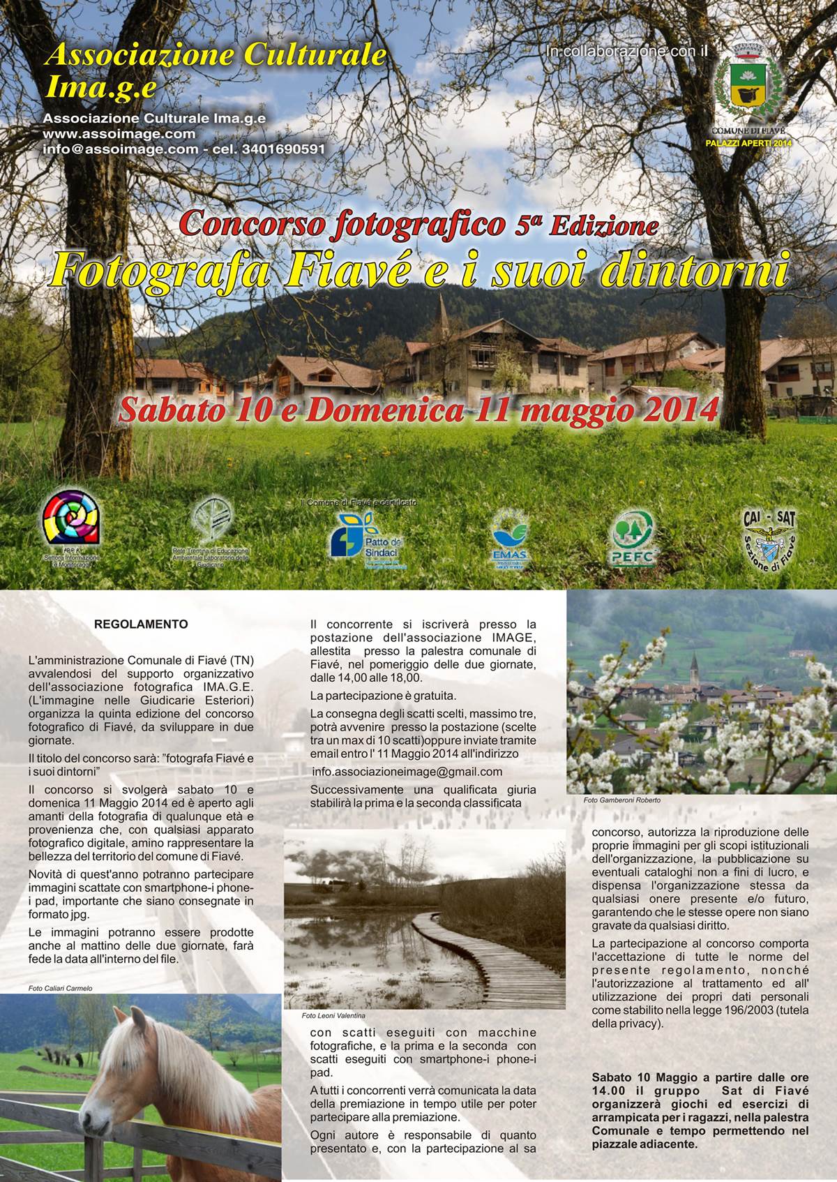 Concorso Fotografico Image