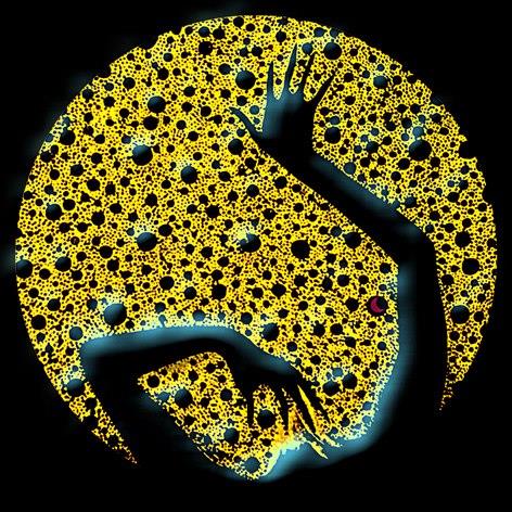 MEDITATION 1993 - da La musica sei tu di Kimbo ina Vellocet