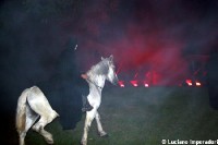 Danza macabra Pinzolo 2012 073