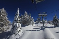 Doss_del_sabion_pinzolo004