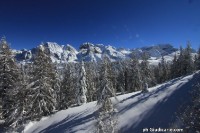 Doss_del_sabion_pinzolo011