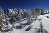 Doss_del_sabion_pinzolo012