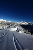 Doss_del_sabion_pinzolo019