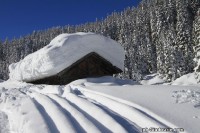 Doss_del_sabion_pinzolo020