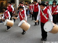 Giovenche razza rendena 19 (1)