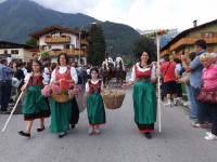 Giovenche di Razza rendena, sfilata4