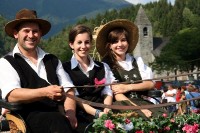 Giovenche razza rendena 008