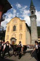 Giovenche razza rendena 065