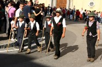 Giovenche razza rendena 070