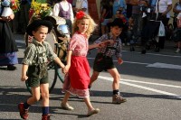 Giovenche razza rendena 077