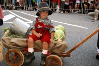 Giovenche razza rendena 092