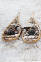 Ciaspingo_val_rendena_2012_foto_m_ciaghi_IMG_2474