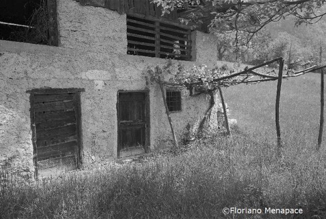 Le giudicarie ritratte da Floriano Menapace