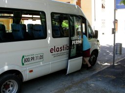 salita elastibus_
