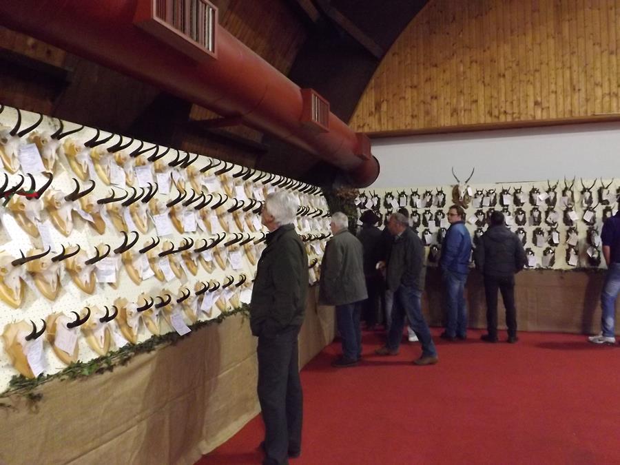 trofei in mostra a Tione