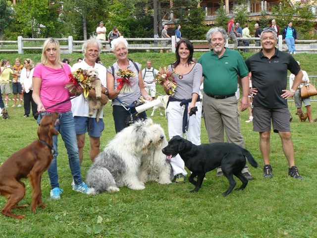 una giornata da cani a Madonna di CAmpiglio
