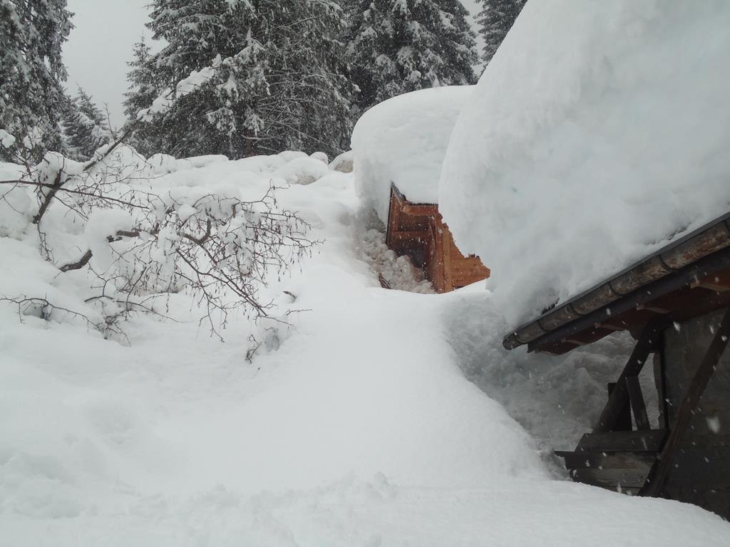 val Genova Le case alla Ragada lambite dalla valanga
